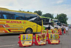 Tersedia 10 Ribu Kursi Bus Tambahan Mudik Gratis 2024 