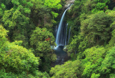 Tiu Kelep, Air Terjun Tersembunyi di Lombok Utara, Menawarkan Keindahan Alam yang Memukau dan Petualangan Seru