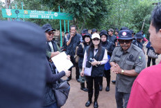 Energi yang Tak Hanya Mengalir di Pipa, Hulu Migas Hidupkan Mangrove