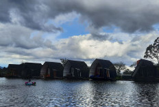 Temukan Sensasi Liburan akhir Tahun 2025 di Pagaralam dengan Pilihan Villa Nyaman dengan Panorama Menakjubkan