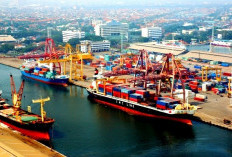 Gelombang Besar Transformasi Ekonomi Sumsel, Pelabuhan Tanjung Carat Simbol Perubahan Masa Depan Hijau