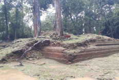 Menelusuri Cagar Budaya Muaro Jambi