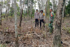 Kecamatan Gunung Megang Muara Enim Berpotensi Karhutlah, Ini yang Dilakukan Babinsa Setempat