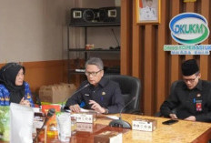 Dukung Pemasaran Produk UMKM Lokal ke Luar Negeri
