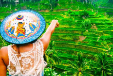 Keindahan Teras Sawah Ceking di Bali: Lebih dari Sekadar Destinasi Wisata