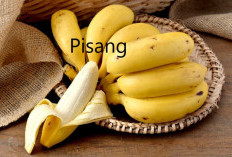 9 Manfaat Pisang Ambon