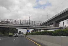 Mengubah Wajah Ekonomi dan Transportasi Sumsel, Pelabuhan Modern untuk Mendukung Ekspor  