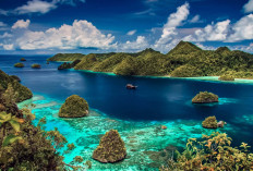 Sepi Penduduk Tapi Kaya Potensi, Ini 10 Provinsi Paling Sedikit Populasi di Indonesia—Sudah Tahu?
