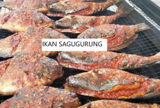 Mengenal Makanan Khas Sumatera Selatan Ikan Sagugurung