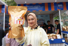 UMKM Keripik Kentang Albaeta Berkembang Pesat Karena Pemberdayaan BRI