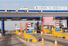 Rawa Jadi Jalan Tol: Palindra Ubah Wajah Sumsel