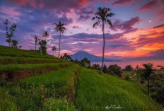 Dari sunrise di Danau Ranau sampai jalan sore di Jembatan Ampera, semuanya Instagramable banget!