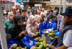 Bazar UMKM BRILiaN Bantu Berdayakan dan Perluas Pasar Pelaku Usaha