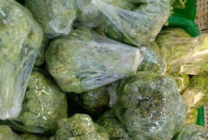 Brokoli Kaya Kandungan Nutrisi, Baik Untuk Diet, Sehat dan Seimbang