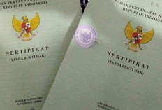 Jangan Cuma Pegang AJB! Ini Alasan Balik Nama Sertifikat Tanah Harus Segera Dilakukan