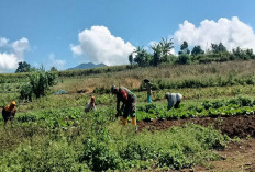 Bantu Petani Buka Lahan Garapan