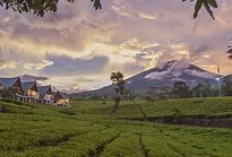 2 Destinasi Sejuk di Sumsel: Gunung Dempo & Danau Ranau, Surganya Healing dan Hunting Foto