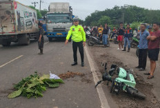 Truk Tronton Tabrak Pengendara Sepada Listrik Tewas di Tempat