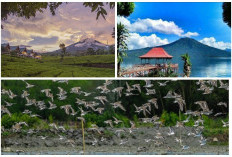 7 Wisata Alam Keren Persembahan Sumsel: 2 Menasional dan 5 Berkaliber Internasional, Save Liburan Juni 2025