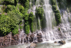 Apa Keindahan Dari Air Terjun Curup Maung
