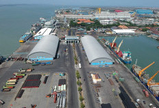 Pelabuhan Tanjung Carat Jadi Game Changer, Sumsel Siap Naik Kelas ke Panggung Global