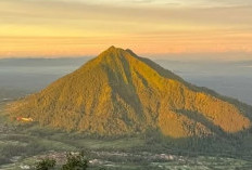 Ini Gunung Favorit Pendaki Pemula, Jalur Pendek dengan Pemandangan yang Luar Biasa