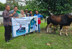 PT SERD Serahkan Hewan Kurban ke Pemkab Muara Enim, Wujud Kepedulian Sosial dan Komitmen pada Masyarakat