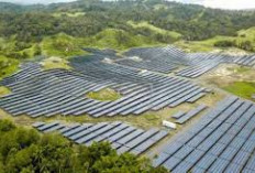 Visi Masa Depan: Sumsel Hijau, Cerdas, dan Berkelanjutan, Ini Proyek-proyek Unggulan!