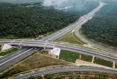 Tembus Rawa, Tembus Ekonomi! Mega Tol Sumsel Ciptakan Jalur Emas Baru Trans Sumatera