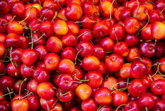 Manfaat yang Ada Pada Buah Ceri yang Biasa dikonsumsi