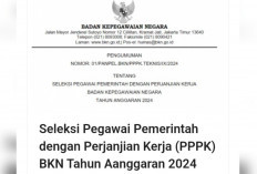 Link Pengumuman Seleksi PPPK 2024, Pahami Aturannya 