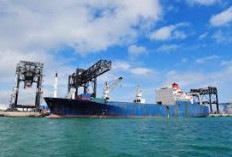 Pelabuhan Baru Palembang Jadi Motor Ekonomi Sumsel, Ekspor Melesat, Logistik Makin Cepat
