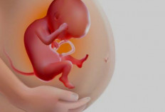 Ibu Hamil Harus Memperhatikan Pola Makan Agar Janin Sehat