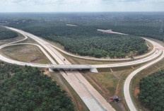 Tantangan Konstruksi Area Rawa: Progres Tol Palembang-Betung Maju Pesat