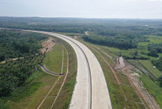Luar Biasa, Akibat Dikepung Jalan Tol:  Palembang Jadi Kota Strategis, Investasi dan Mobilitas Melejit