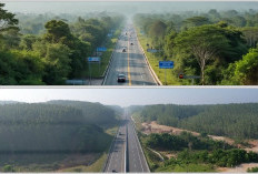 Suka Cita 136 Km Tol Palembang-Jambi Dibuka Bertahap Mulai 2025: Ekonomi 2 Provinsi Bersaing Ketat