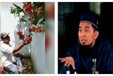 Tanaman Anda tapi Buahnya Masuk Pekarangan Tetangga Jangan Sembarang, Begini Kata Ustad Adi Hidayat