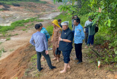 Dewan Berang, BSP Klaim Tanah Kaplingan Masuk HGU