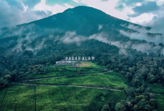 Keindahan dan Misteri Gunung Dempo, Ikon Wisata Alam Sumatera Selatan