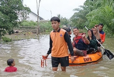 Warga Desa Tanjung Terang Panik, 30 Rumah Terendam Banjir