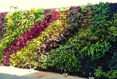 Taman Vertikal: Tren Berkebun Modern untuk Self Healing dan Rumah Lebih Hidup