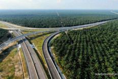 Dua Provinsi Ini Tersambung Jalan Tol, 2026 Dijamin Tidak Macet Lagi