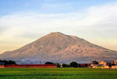 24 Km dari Majalengka, Berada di 3 Kabupaten, Ini Gunung Tertinggi di Jawa Barat!  