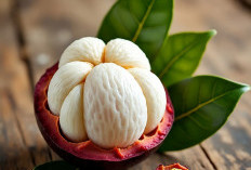 9 Manfaat Utama Buah Manggis