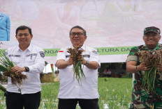 Pj Bupati Ahmad Rizali Luncurkan Program Tanam Bawang Merah, Kentang dan Cabai Langkah Strategis Kendalikan In