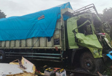 Kecelakaan Fuso vs Truk Box, 1 Korban Meninggal 