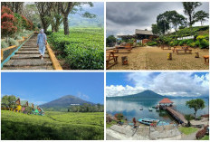 Dengan Bangga Sumsel Persembahkan 7 Wisata Alam Keren: 5 Berkaliber Internasional dan 2 Menasional