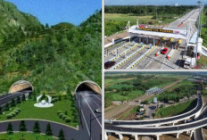 Simbiosis Ekonomi 2 Provinsi terhadap Tol Padang-Pekanbaru yang Pembukanya di Sumbar