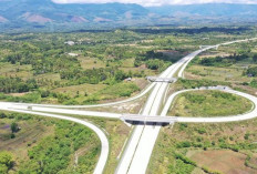 15 PSN Ubah Sumsel: Tol, Pelabuhan, dan Industri Jadi Mesin Utama Ekonomi Baru