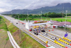 Trafik Jalan Tol Hutama Karya Tembus 250 Ribu Kendaraan per Hari, Naik 7,6% Semester I 2025